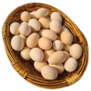 Free Range Eggs