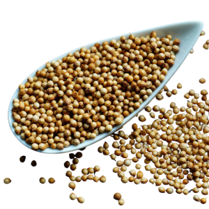 Whole Coriander