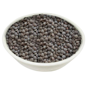 Masaar Desi