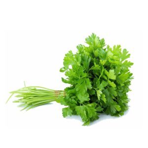 Coriander (دھنیا)