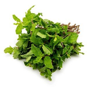 Mint (پودینہ)