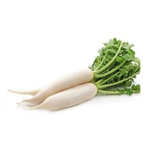Radish white (مولی سفید)